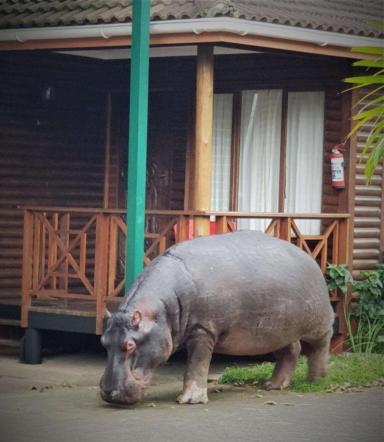 Sunset Lodge เซนต์ลูเซีย ภายนอก รูปภาพ